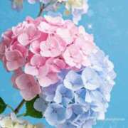 ヒメ日記 2025/05/09 08:16 投稿 なつ 人妻美人館