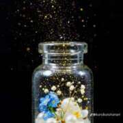 ヒメ日記 2025/05/13 12:40 投稿 なつ 人妻美人館