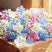 ヒメ日記 2025/05/13 17:33 投稿 なつ 人妻美人館