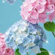 ヒメ日記 2025/05/17 08:17 投稿 なつ 人妻美人館