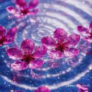 ヒメ日記 2025/05/24 13:07 投稿 なつ 人妻美人館