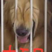 ヒメ日記 2025/05/25 11:31 投稿 なつ 人妻美人館