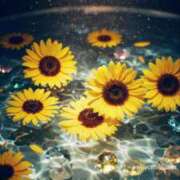 ヒメ日記 2025/05/25 22:00 投稿 なつ 人妻美人館