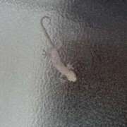 ヒメ日記 2025/05/27 21:30 投稿 なつ 人妻美人館