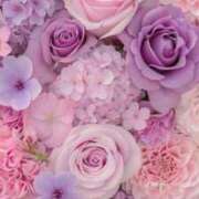 ヒメ日記 2025/06/02 12:42 投稿 なつ 人妻美人館