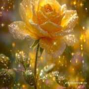 ヒメ日記 2025/06/05 20:02 投稿 なつ 人妻美人館