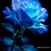 ヒメ日記 2025/06/07 10:06 投稿 なつ 人妻美人館