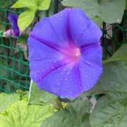 ヒメ日記 2025/06/12 21:24 投稿 なつ 人妻美人館