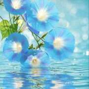 ヒメ日記 2025/06/15 00:11 投稿 なつ 人妻美人館