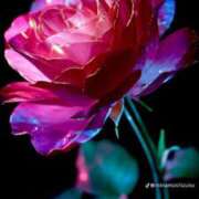 ヒメ日記 2025/06/16 10:13 投稿 なつ 人妻美人館