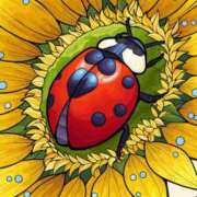 ヒメ日記 2025/06/24 11:01 投稿 なつ 人妻美人館