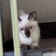 ヒメ日記 2025/07/26 20:48 投稿 なつ 人妻美人館