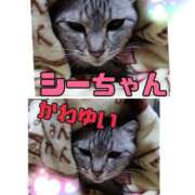 ヒメ日記 2025/11/26 20:19 投稿 なつ 人妻美人館