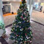 ヒメ日記 2025/12/05 15:37 投稿 なつ 人妻美人館