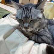 ヒメ日記 2025/12/15 23:29 投稿 なつ 人妻美人館