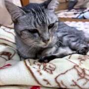 ヒメ日記 2025/12/18 21:18 投稿 なつ 人妻美人館