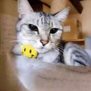 ヒメ日記 2025/12/22 15:33 投稿 なつ 人妻美人館