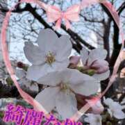 ヒメ日記 2026/03/31 00:02 投稿 なつ 人妻美人館