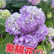 ヒメ日記 2026/05/25 11:02 投稿 なつ 人妻美人館