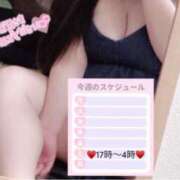 ヒメ日記 2025/05/14 16:51 投稿 もも ぷよラブ れぼりゅ～しょん