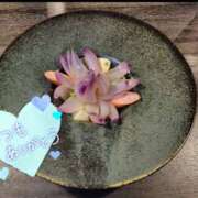 ヒメ日記 2025/07/10 13:14 投稿 りりな もしも清楚な20、30代の妻とキスイキできたら横浜店