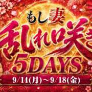 ヒメ日記 2026/09/18 08:23 投稿 りりな もしも清楚な20、30代の妻とキスイキできたら横浜店