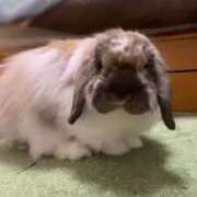 ヒメ日記 2025/07/26 21:56 投稿 大倉 熟女の風俗最終章 新横浜店