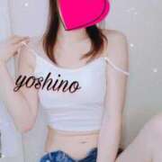 ヒメ日記 2026/04/16 12:05 投稿 よしの ～優しい若妻倶楽部～Mrs.女神