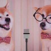 ヒメ日記 2025/02/25 21:39 投稿 まな 西川口ティアラ