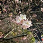 ヒメ日記 2025/03/04 21:05 投稿 まな 西川口ティアラ