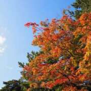 ヒメ日記 2025/03/12 18:15 投稿 まな 西川口ティアラ