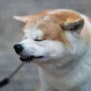 ヒメ日記 2025/06/10 21:35 投稿 まな 西川口ティアラ