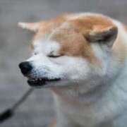 まな こんばんは 西川口ティアラ