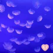 ヒメ日記 2025/01/19 22:02 投稿 北条つばめ エステdeシンデレラ横浜（シンデレラグループ）