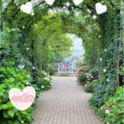 ヒメ日記 2025/07/03 16:44 投稿 北条つばめ エステdeシンデレラ横浜（シンデレラグループ）