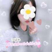 ヒメ日記 2025/12/09 12:43 投稿 北条つばめ エステdeシンデレラ横浜（シンデレラグループ）