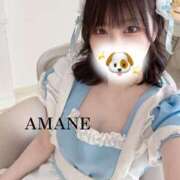 ヒメ日記 2024/12/19 11:18 投稿 あまね ラズベリードール