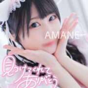 ヒメ日記 2024/12/25 10:19 投稿 あまね ラズベリードール