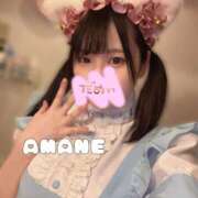 ヒメ日記 2025/01/27 23:19 投稿 あまね ラズベリードール