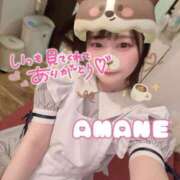 ヒメ日記 2025/02/23 10:28 投稿 あまね ラズベリードール