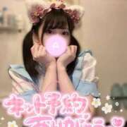 ヒメ日記 2025/02/26 10:28 投稿 あまね ラズベリードール