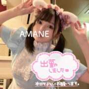 ヒメ日記 2025/03/05 11:28 投稿 あまね ラズベリードール