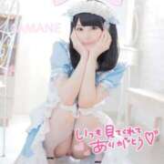 ヒメ日記 2025/04/05 08:30 投稿 あまね ラズベリードール