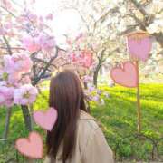 ヒメ日記 2026/03/26 17:08 投稿 おうか リッチドールパート2梅田店