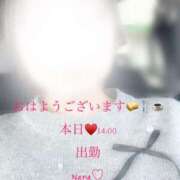 ヒメ日記 2024/12/30 09:32 投稿 なな 鹿児島ちゃんこ 薩摩川内店