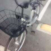 ヒメ日記 2025/02/11 07:31 投稿 なな 鹿児島ちゃんこ 薩摩川内店