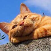 ヒメ日記 2025/02/22 16:45 投稿 なな 鹿児島ちゃんこ 薩摩川内店