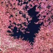 ヒメ日記 2025/03/29 23:01 投稿 なな 鹿児島ちゃんこ 薩摩川内店