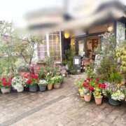 ヒメ日記 2025/04/12 11:45 投稿 なな 鹿児島ちゃんこ 薩摩川内店