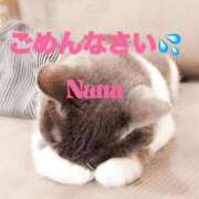 ヒメ日記 2025/04/14 07:14 投稿 なな 鹿児島ちゃんこ 薩摩川内店